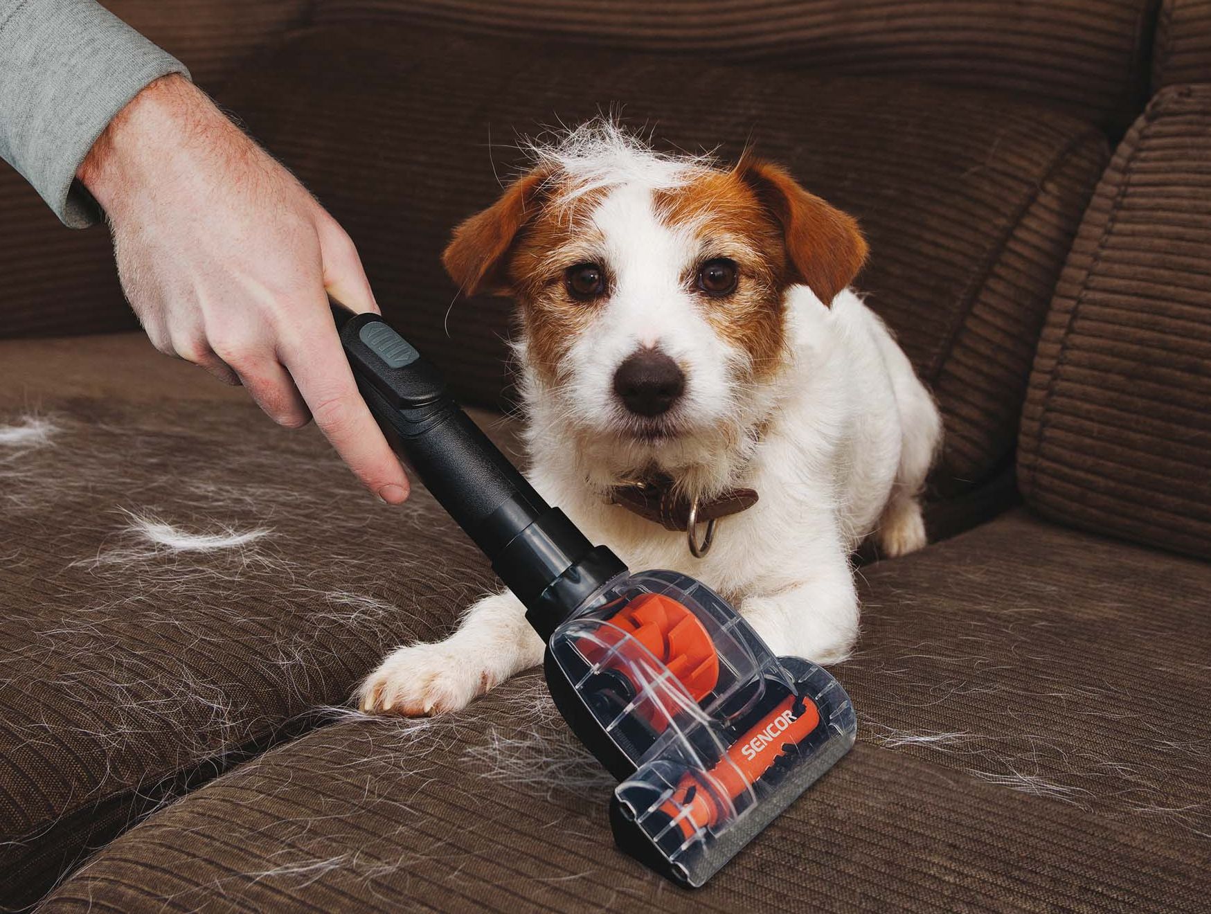 Sencor 3AAA SVC 1038GR